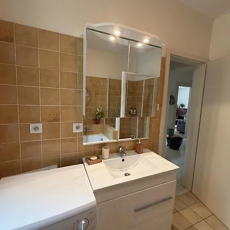 Appartement Cosy Dans Maison Alsacienne