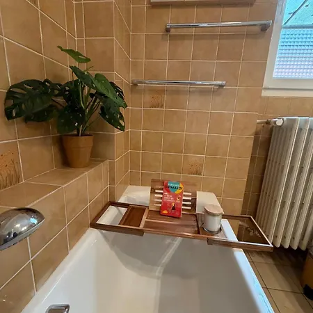 Cosy Dans Maison Alsacienne